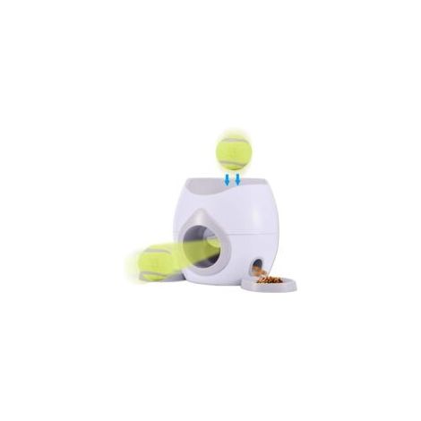 Mangeoire automatique pour animal de compagnie, balle de Tennis, jouets d'entraînement pour chiens, Machine à lancer interactive