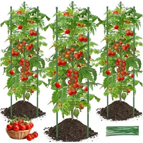Tuteur Tomate, 3pcs Cage à Tomates Support 130cm Treillis Plante Grimpante Exterieur Obélisque pour Jardin, Piquets de Plantes Frimpantes, Légumes et Fleurs - (1/5)