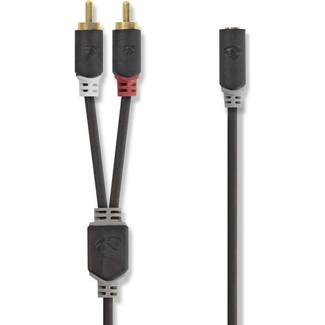 NEDIS Câble Audio Stéréo 2x RCA Mâles - 3,5 mm Femelle 0,2 m Anthracite (1/2)