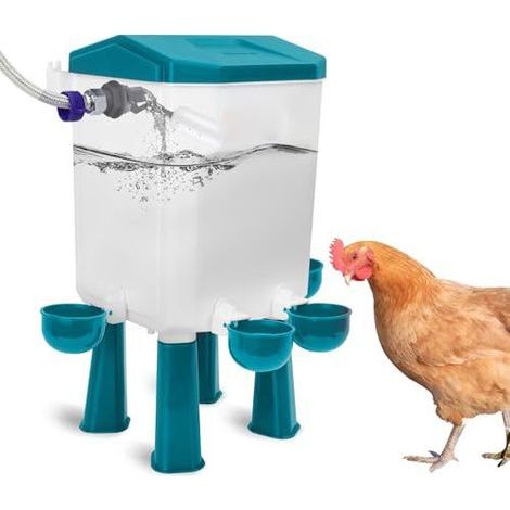 Abreuvoir automatique pour volailles 7L – Flotteur contrôlé – Tuyau inox 1,5m – Pieds amovibles pour propreté – Distributeur eau pour poules, canards, oies