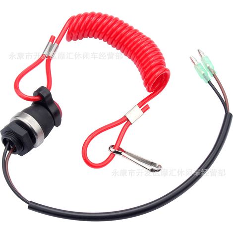 Compatible avec les pales de ventilateur et les étincelles du volant magnétique Predator 212cc et 196cc Coleman CT200U GX160. (1/5)