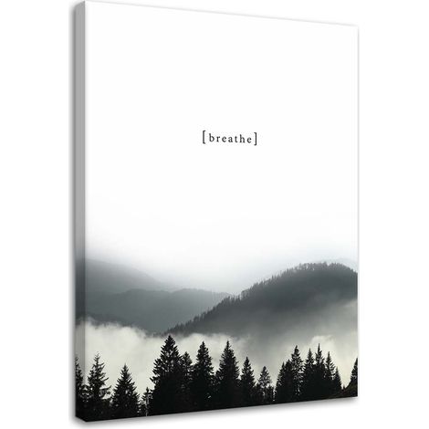 Cadre déco Forêt dans le brouillard Noir Blanc 60x90 (1/5)