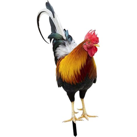 Piquets décoratifs en forme d'animaux, statues d'animaux à planter dans le jardin.-Style A