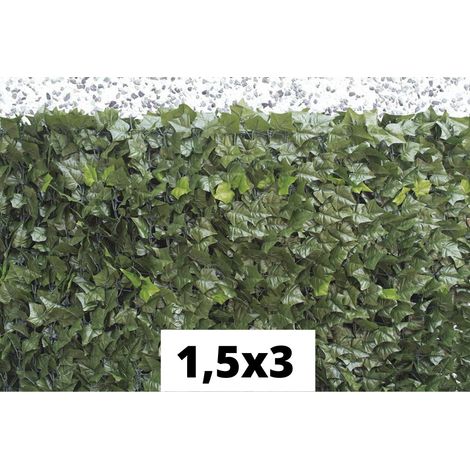 Siepe sempreverde Verdelook edera 150x300 cm (1/5)