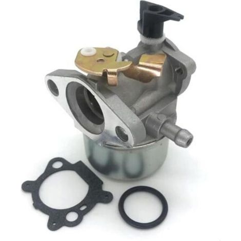Carburateurs pour moteurs Briggs & Stratton Quantum - pièces détachées pour carburateurs (1/5)