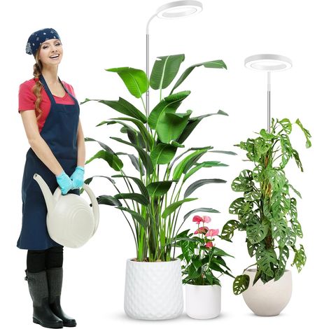 Éclairage pour plantes d'intérieur à spectre complet, 80 LED, 3 couleurs, lumière de croissance, 165 cm pour la culture intérieure avec col de cygne à 360° et minuterie (1/5)