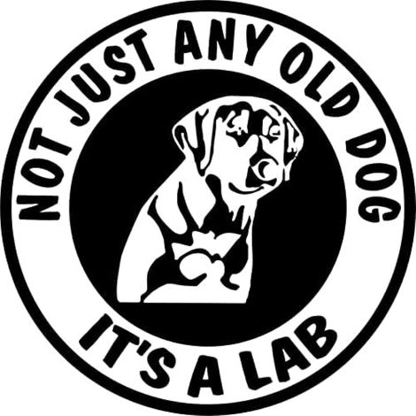 SCHY Auto Autocollant 16cm Retriever Chien Pet Vinyl Car (1/4)