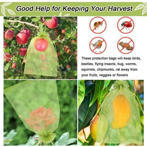 30 Sacs En Filet Vert Protection Fruits 20x30cm Fermeture Cordon Barrière Contre Insectes Pour Vignes Manguiers Potagers (1/3)
