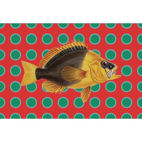 Tovaglietta Americana in Plastica Pesce Giallo 44x30 cm