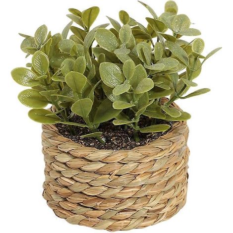 Petites plantes artificielles en pot, jardinières tressées à la main en jonc de mer, plante d'eucalyptus pour la décoration de la maison, de la salle de bain, d'une étagère, d'une table ou d'un bureau (1/5)