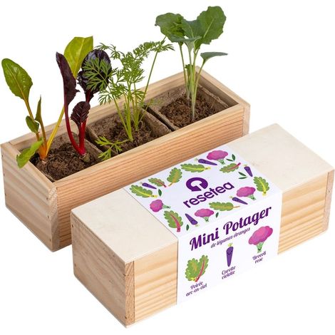 Mini potager de légumes étranges (1/3)