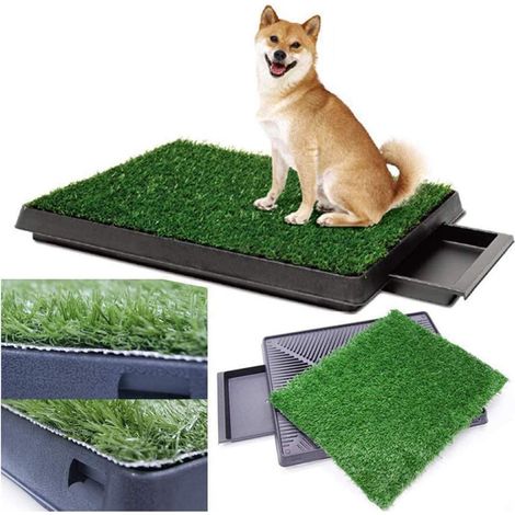 Toilettes pour Chat pour Petits et Grands Chiens, 62.5 x 50.8 cm, avec Gazon-Artificiel Durable, Facile à Nettoyer, Convient pour Balcon Jardin Toilette (1/5)