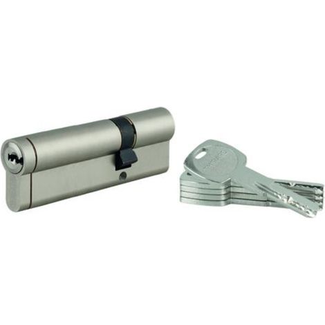 THIRARD - Lot de 10 cylindres Transit 1 double entrée 30x75mm, débrayable, nickelé, 5 clés - THIRARD (1/5)