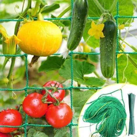 Filet pour Concombre 5 m x 1.8 m, Filet Jardin Treillis, Filet Plante Grimpante Exterieur, pour Concombres, Tomates, Plantes Grimpantes, avec 50 Attaches pour Plantes.