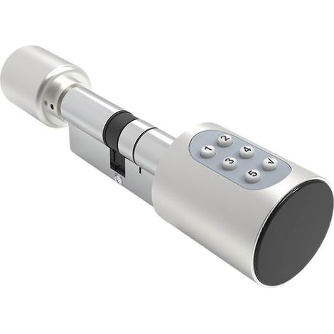 Serrure de porte intelligente Bluetooth, compatible avec une application de contrôle et les appareils connectés, plusieurs modes de déverrouillage, entrée sans clé, idéale pour les maisons et les hôte (1/5)