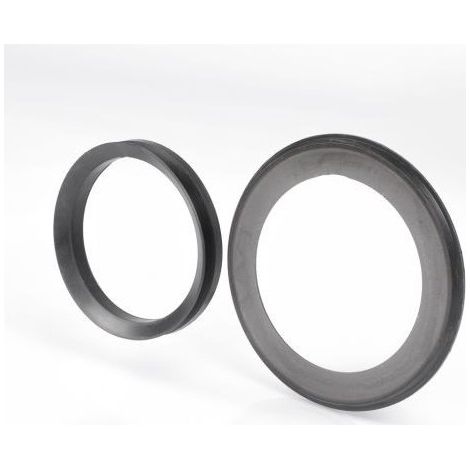 Sello de la vivienda TSN220 INT. 115mm ext. 145.6mm B.10.4mm skf