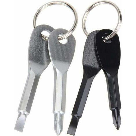 Porte-clés Tournevis 2 Pièces Double Tête Phillips et Plat en Acier Inoxydable Outil de Poche pour Dépannage d'Urgence (1/5)