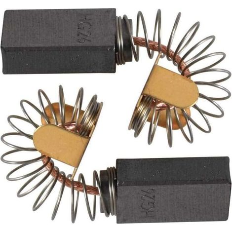 Jeu de balais de charbon de rechange (2 pièces) pour Bosch 1619X08020, 1619X07410, 1619X01351, 2610320391 et scies circulaires Skil HD77 - S77