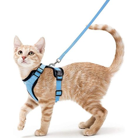 Harnais avec laisse pour chats, Harnais et laisse pour chats, Harnais réglable pour chatons, Collier harnais pour chats, Gilet respirant, Pour chat européen, chat persan (bleu ciel, XS)