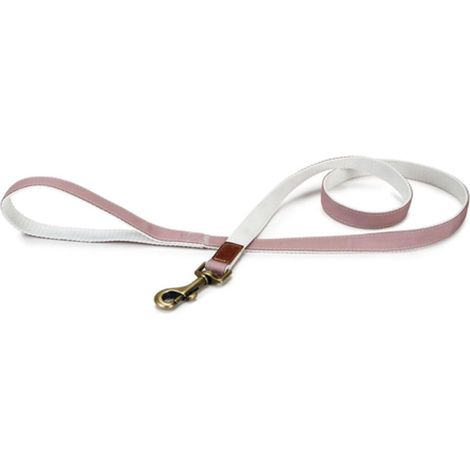 Laisse en Nylon Rose Clair, 20 mm x 120 cm