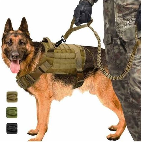 Harnais militaire tactique pour chien K9 – Nylon 1000D imperméable – Rembourrage doux – Ajustable pour confort et sécurité – Chasse, randonnée, service (1/5)