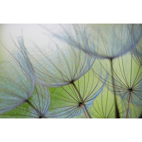 Papier peint panoramique zen vert et brun tendance | Tapisserie panoramique floral salon | Papier peint panoramique nature idéal chambre calme - 267 x 400 cm (4 pièces) (1/2)