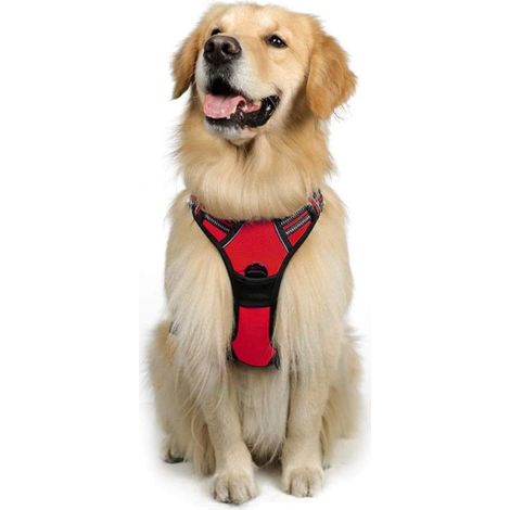 Anti-Zug-Hundegeschirr, leicht anzulegendes, reflektierendes, verstellbares Hundegeschirr mit Frontbefestigung, Geschirr für mittelgroße und große Hunde (Blau, S) (1/3)
