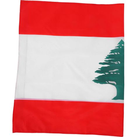 Flagge Polyester Mit Stangenhülse Für Innen Außen