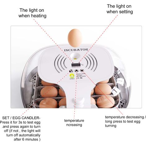 Incubateur pour œufs à couver, retournement automatique des œufs, plateau multifonctionnel, couvercle Transparent, bougie LED, pour éleveurs de volailles ciblés (1/5)