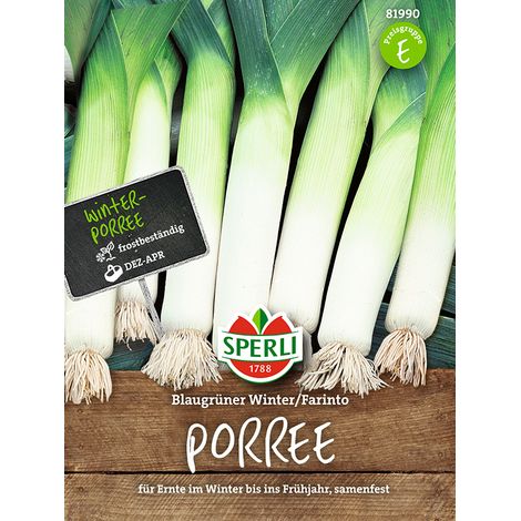 Sperli Porree Blaugrüner Winter / Farinto - Gemüsesamen (1/2)