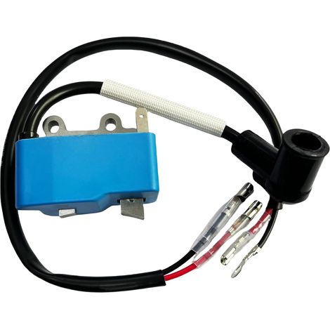 C·T·S Bobine d'allumage Husqvarna 253R 253RB 253RJ 553RBX 553RS remplace Husqvarna 521648701 (1/5)