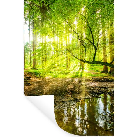 Wall Sticker Forest - Landscape - Water - Trees - Sun - Green - Nature 80x120 cm