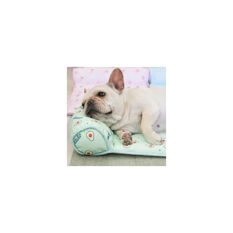 Tapis rafraîchissant en soie glacée pour animaux - Tapis rafraîchissant pour chats et chiens - Tapis auto-rafraîchissant en soie glacée - 60 x 40 cm - Tapis d'été pour animaux - Matière soie glacée (1/4)