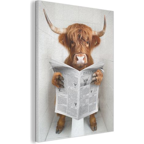 QUADRO ACUSTICO Highlander scozzese - Animale - Giornale - Toilette 60x80 cm (1/5)