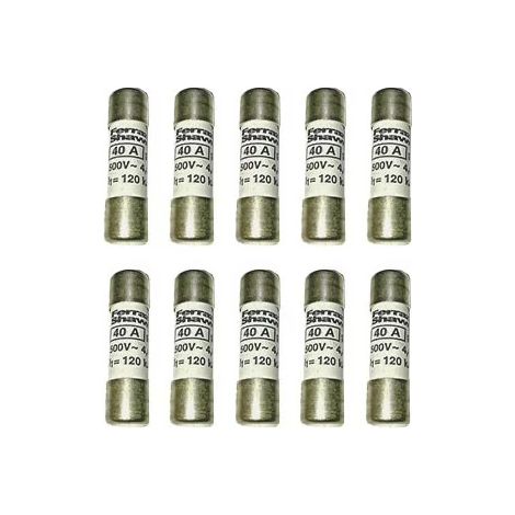 Ferraz shawmut P201815J Fusibles( x10) gG 40A 14x51mm 500VAC