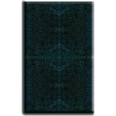 Cartouche de filtre éponge pour filtre Niagara 440