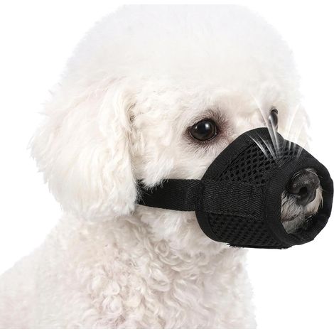 Muselière pour petits chiens, protection contre les, pour les grands chiens, mordre, mâcher, toilettage en douce, respirante petits chihuahuas, caniches, husky (taille XS, 9-12 cm) (1/5)