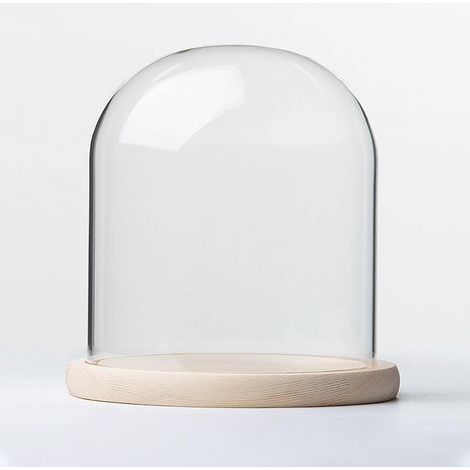 Cloche en Verre avec Base en Bois, diamètre 20 cm. Cloche en Verre avec Base en Bois Massif for Exposer Plantes, Ornements et Figurines.(20 20cm) (1/5)