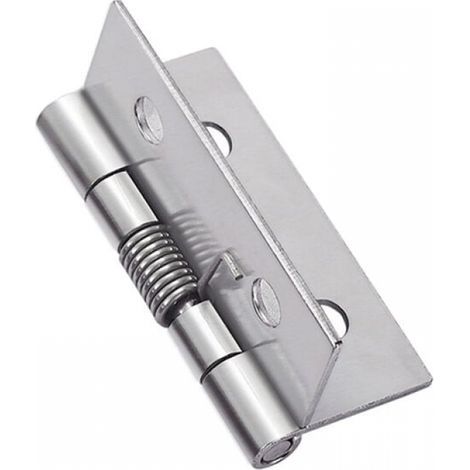 4 pièces charnières à ressort à ouverture fermeture automatique, charnières de porte à ressort en acier inoxydable 304, charnières à fermeture automatique pour portes invisibles (1/5)