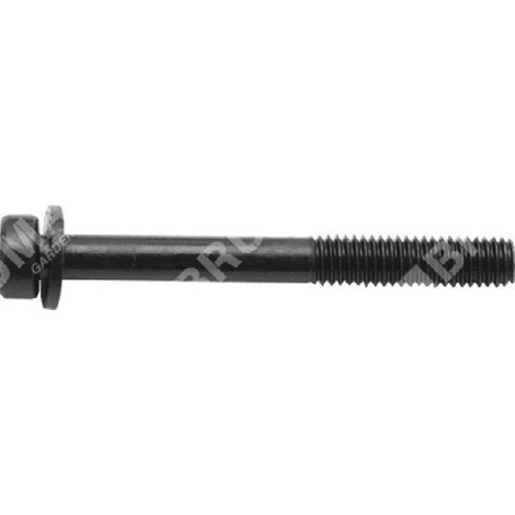 Vite marmitta zmg3302  m5x55 COMPATIBILE - 049912