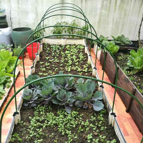 Mini tente d'ombrage transparente en PVC pour serre, plantes et fleurs (1/5)