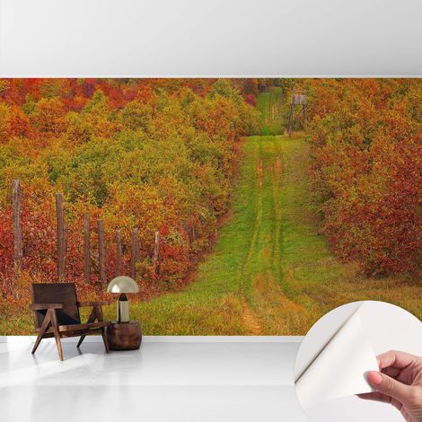 Fotomurale adesivo stickers - per camera da letto - per corridoio - decorazione casa moderna Colori autunnali 416x254 cm (1/5)