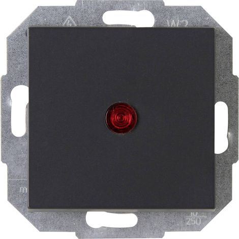 Kopp 1 pièce Insert Interrupteur avec témoin lumineux ATHENIS anthracite 588665080 1 pc(s) X706481 (1/2)