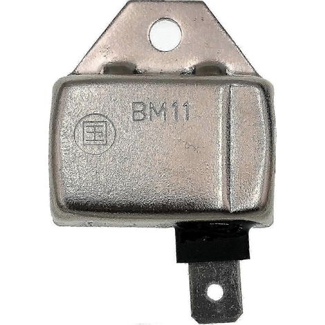 PARTSRUN IDBM11 Module d'allumage électronique à borne unique, allumeur universel 21119-216121119-2139 Compatible Kawasaki John Deere, ZF-IG-A00345-4 (1/3)