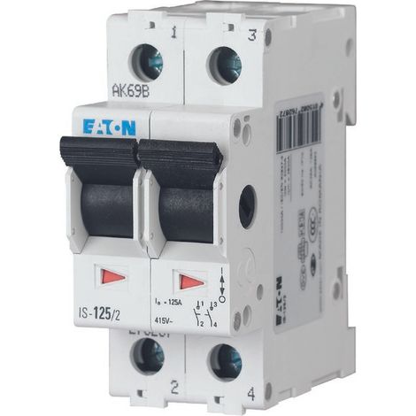 Interruttore sezionatore modulare 100A 2P IS-100/2 276283 (1/4)