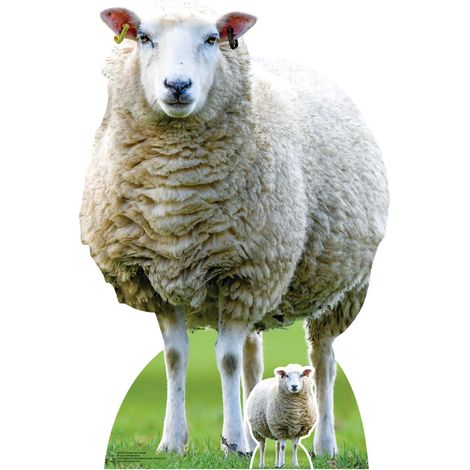 Figurine en carton - Mouton De La Ferme - Haut 100 cm (1/4)