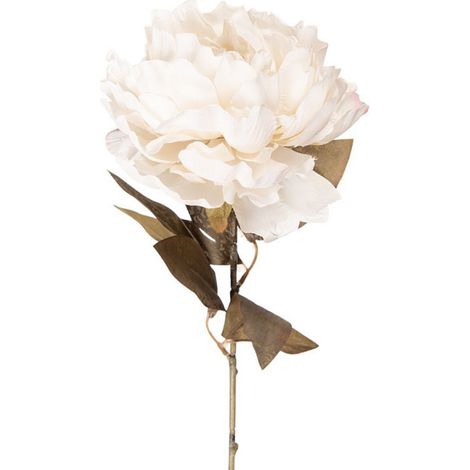 Fleur Artificielle Pivoine en Polyester Blanche Haute Tige 70cm (1/2)