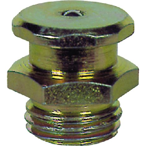 INGRASSATORE TIPO TECALEMIT 1/8