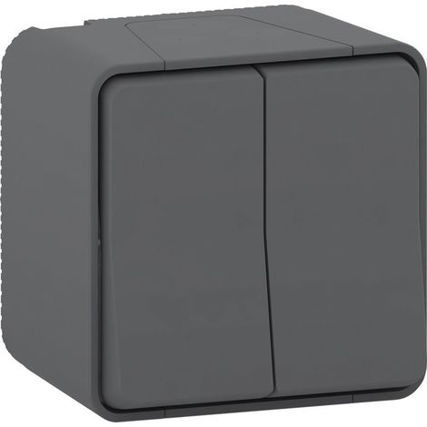 Schneider Electric – Double interrupteur étanche IP55 – Montage saillie – Résistance IK08 – En polycarbonate pour chantiers humides