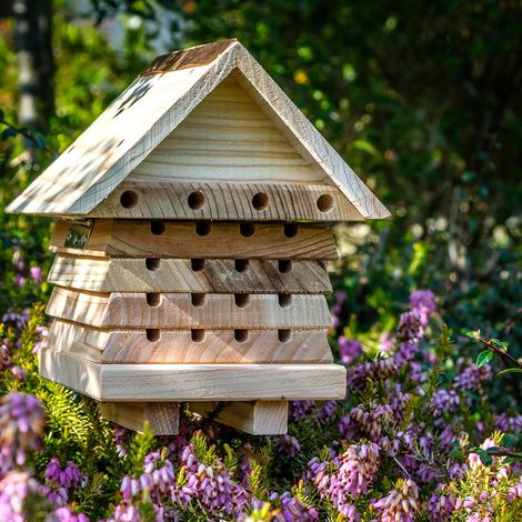 Interactive Solitary Bee Hive with Viewing Lid ÃÂÃÂÃÂâÃÂÃÂÃÂÃÂÃÂÃÂÃÂàWooden Bee Hotel for Garden Pollinators